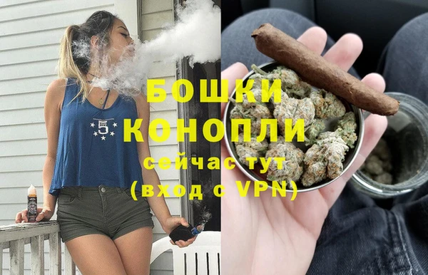 амф Арсеньев