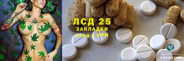 PSILOCYBIN Армянск