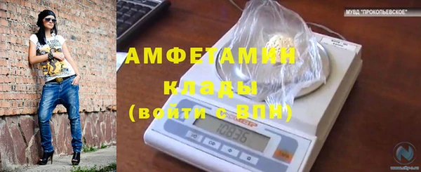 амф Арсеньев