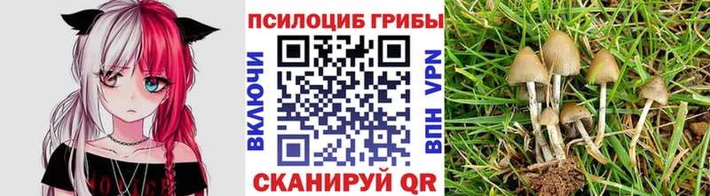 Галлюциногенные грибы ЛСД  даркнет сайт  Куса 